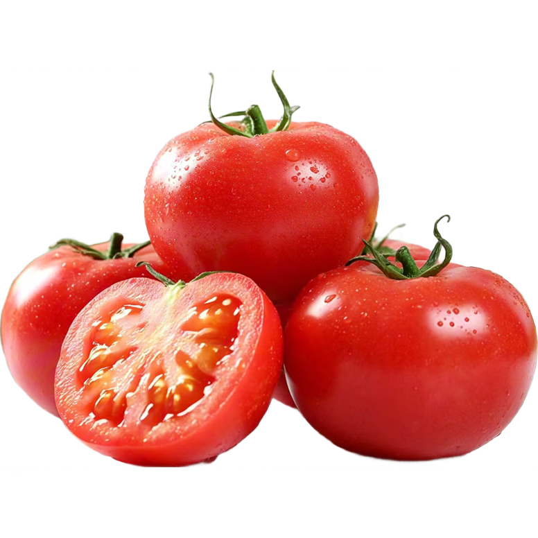 高山新鲜西红柿水果番茄自然熟生吃减肥减脂即食蔬菜生鲜源头直发 大红西红柿净重 1斤