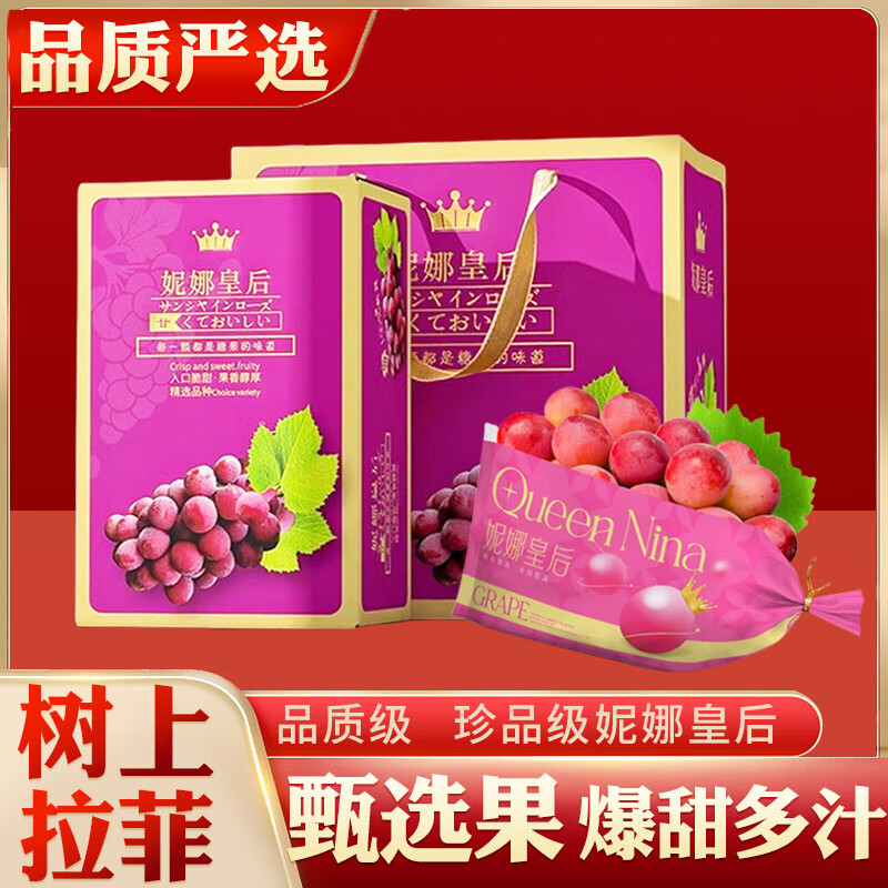 田拾记妮娜皇后葡萄【多地次日达】拉菲玫瑰红晴王提子送礼物端午节 2斤普通装 S+级金榜果丨爆甜力荐丨树上拉菲
