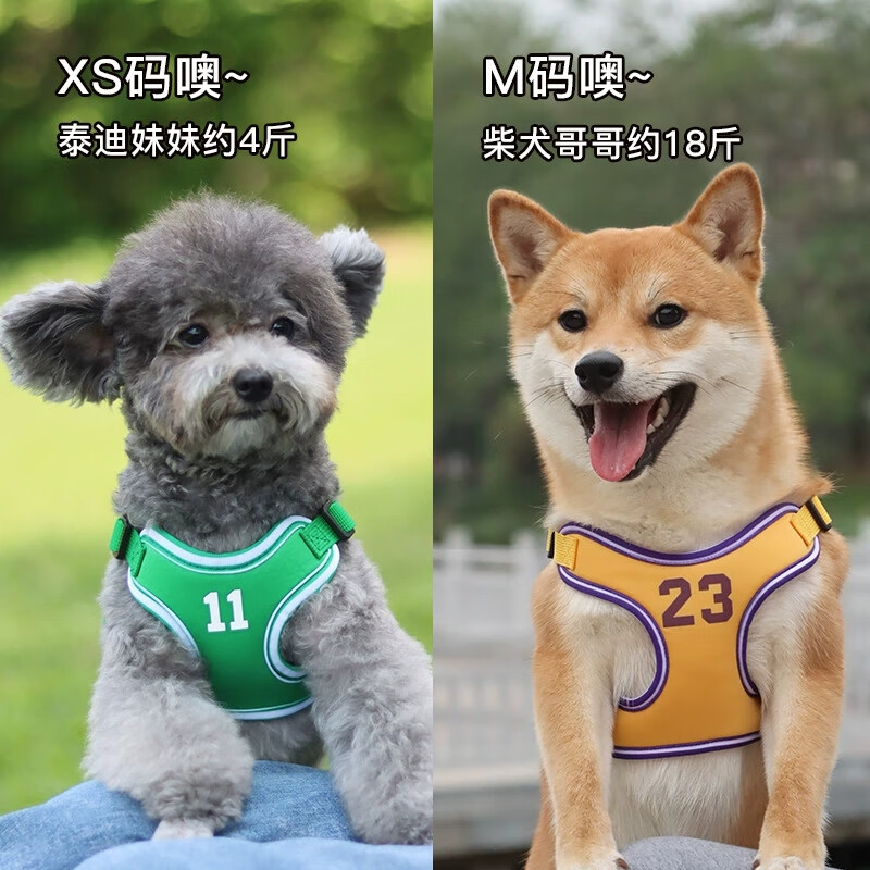 斯派科狗狗牵引绳小型犬背心式胸背带中小型犬防挣脱透气反光胸背式狗绳 紫色 L码(胸围60cm-76cm)建议25-40斤