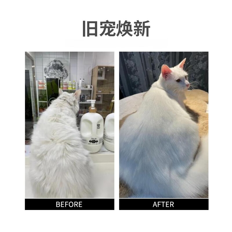 和颜沐语猫咪沐浴露洗澡专用宠物沐浴液猫香波控油护毛 沐浴露400ml+杀菌除臭喷雾