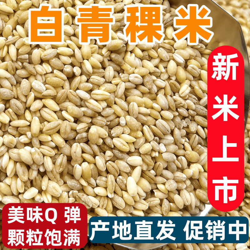 【廠(chǎng)家直銷(xiāo)】正宗青海青稞米優(yōu)選糖尿人緩升糖粗糧孕婦西藏青稞雜 (優(yōu)選白青稞米)*5斤 (新米上市)
