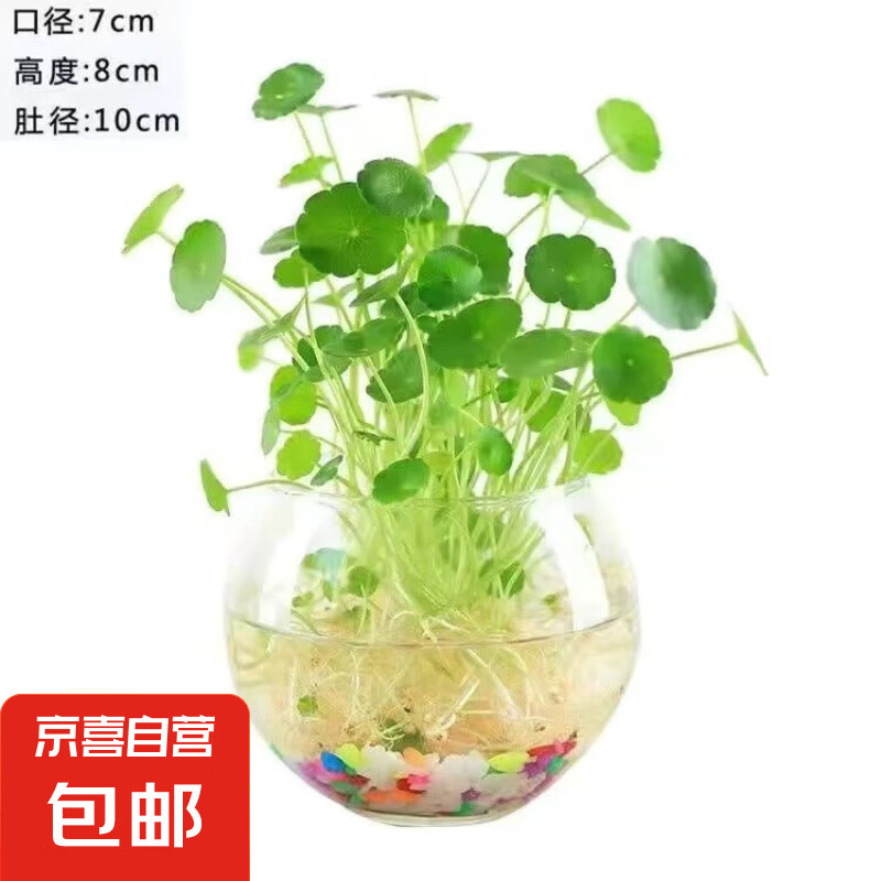 ͭǮݡˮֲ칫ˮǮļ໨ 1ͭǮ+Բ3.32Ԫ
