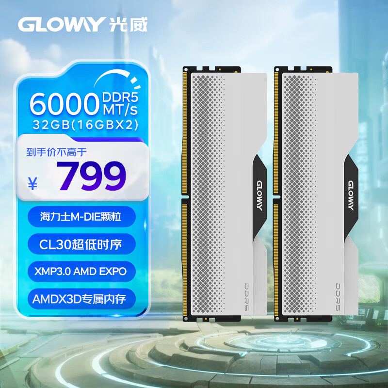 光威（Gloway）32GB(16GBx2)套装 DDR5 6000 台式机内存条 龙武系列 海力士M-die颗粒 CL30 Deepseek硬件