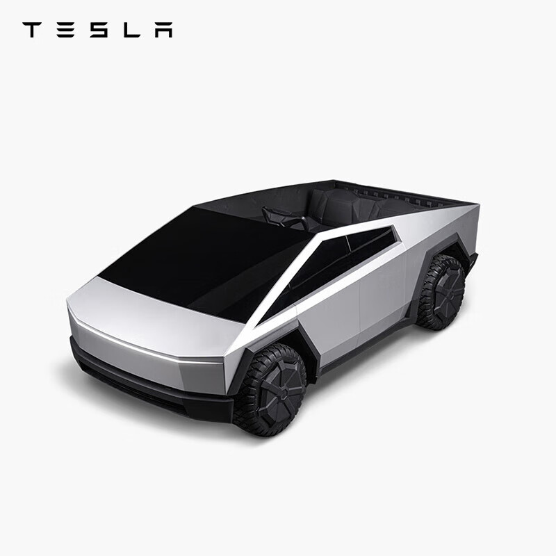 ��˹�� ��ͯ�� Cybertruck