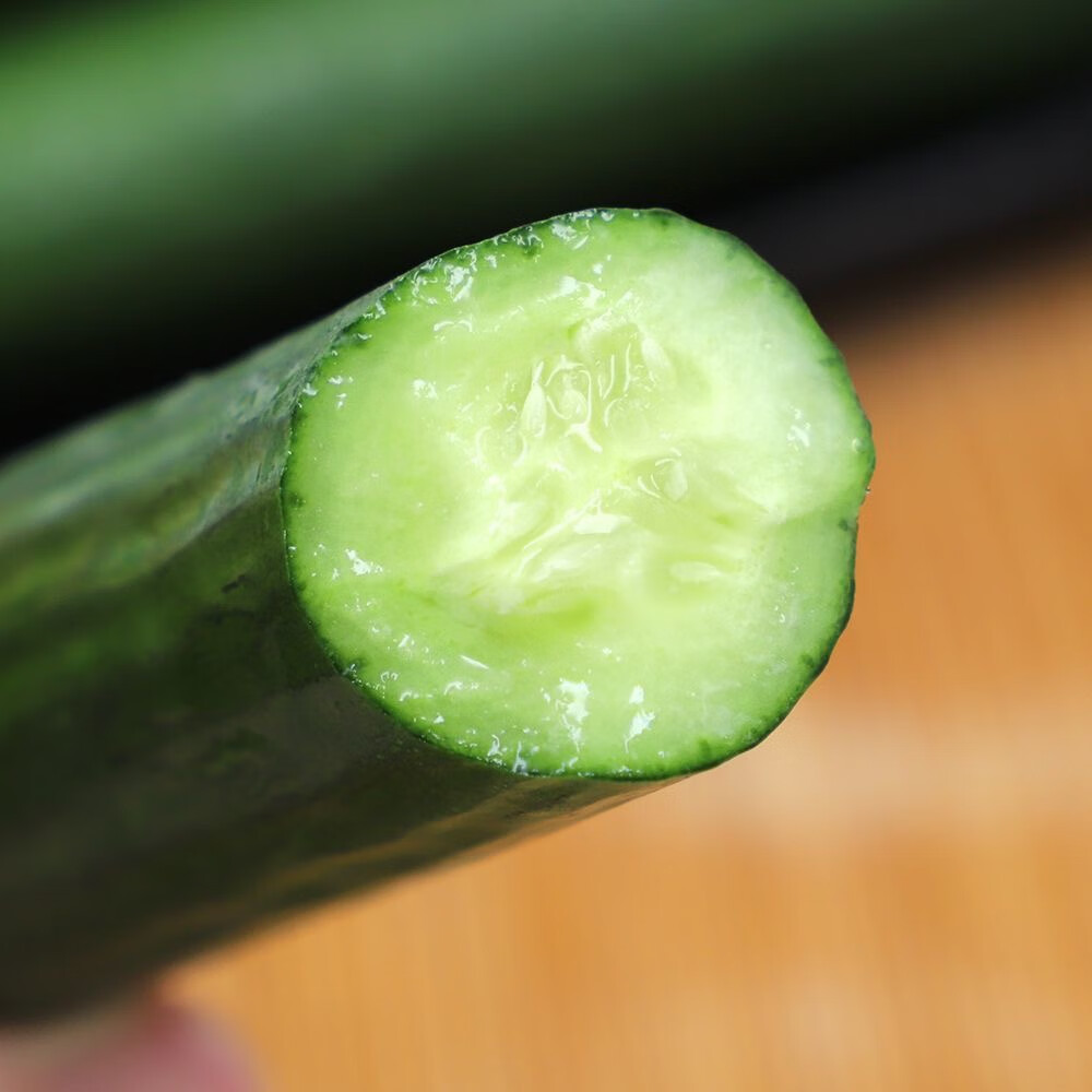 宝菜水果黄瓜现摘当季正宗荷兰山东小黄瓜减脂即食新鲜 净重2.8- 3.2斤 【15-20根)】