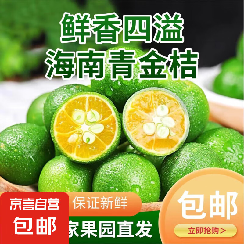 海南青金桔新鲜小金桔 250g大果（10g-20g）