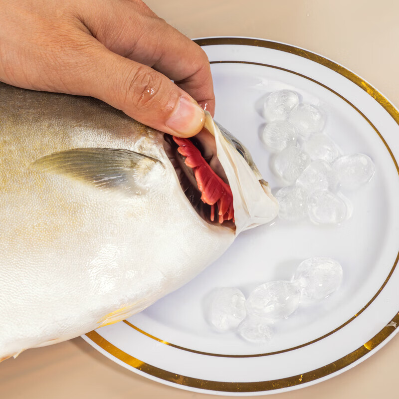 钦小鲜北部湾深海金鲳鱼检测认证肉多刺少海鲜生鲜深海鱼火锅食材端午聚 金鲳鱼 【2条*700-800克净重】