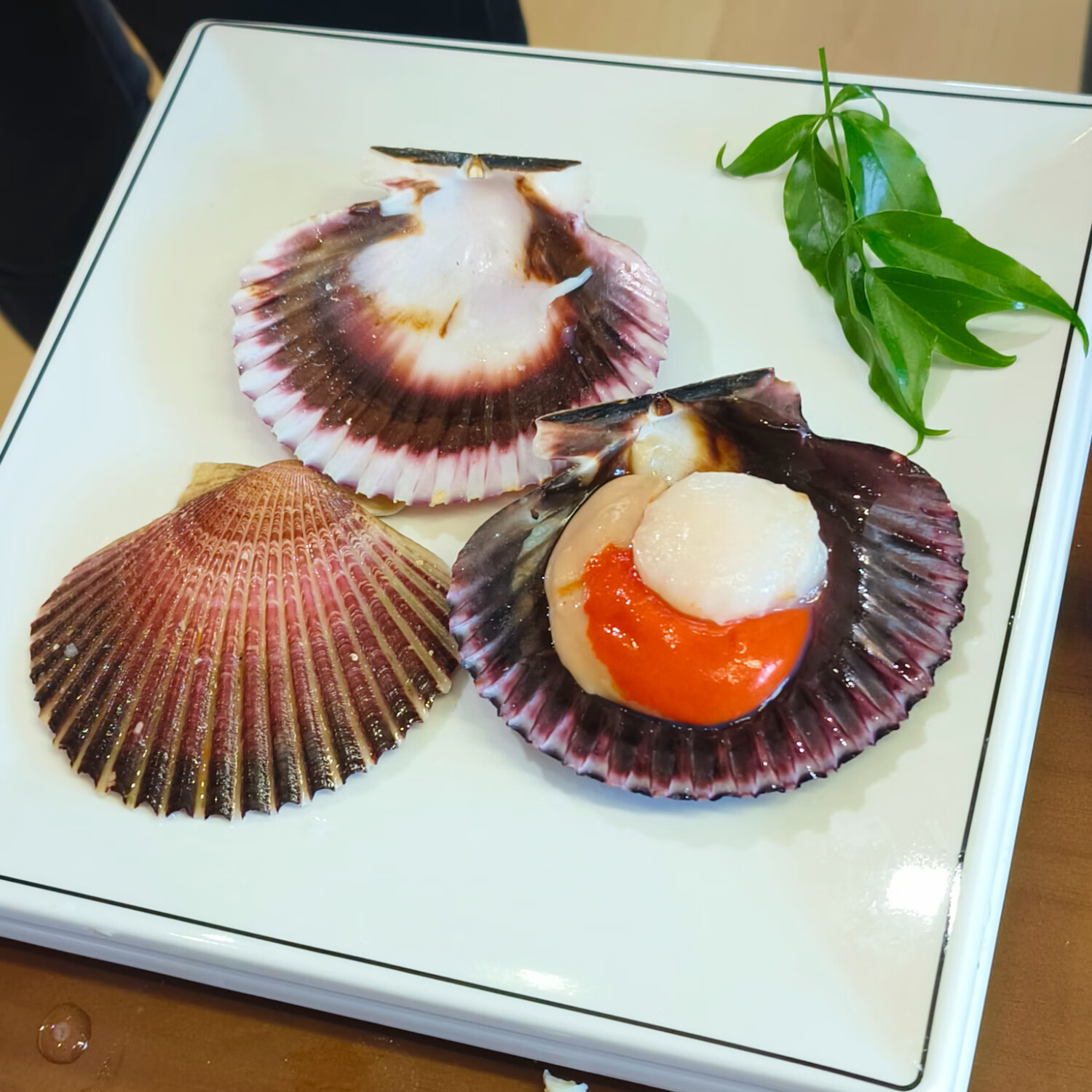 BOWO 冻半壳海湾扇贝 特大鲜冻扇贝带壳扇贝肉海鲜水产热门商品 1kg 直径11cm+/只 约10只