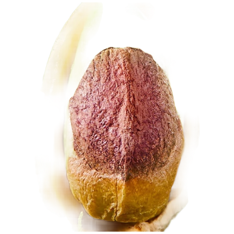 ���ڲ������������� ���Ĺ�500g ԭɫ��Ư�״����ÿ�ռ�� ����100��+