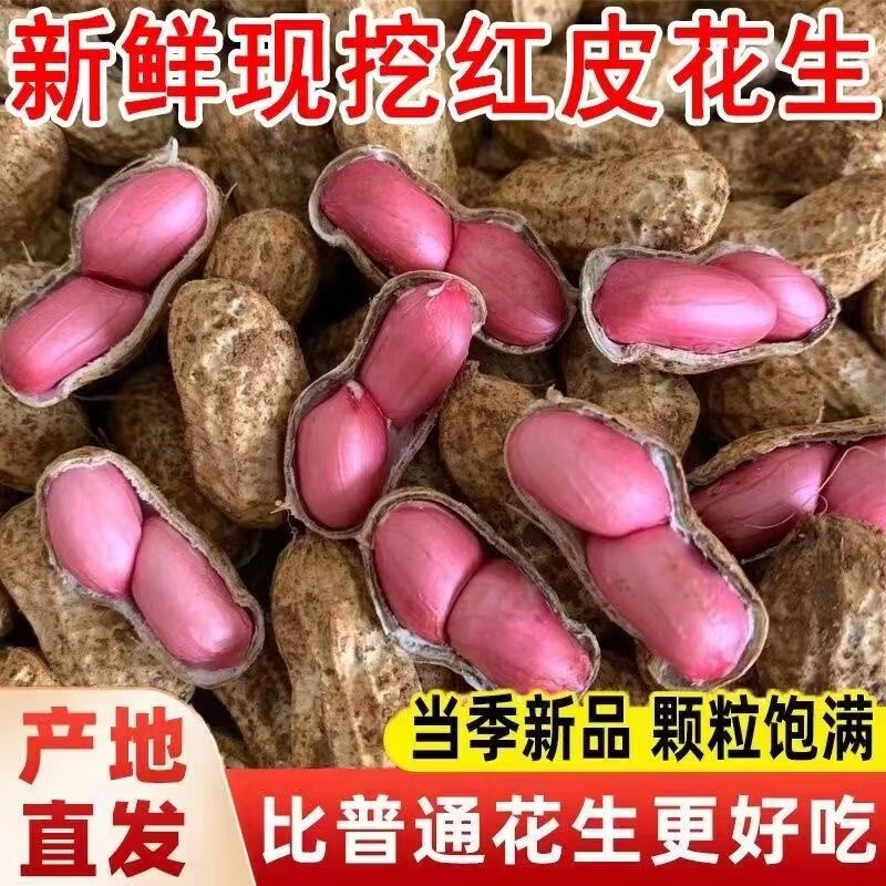 今年新货】新鲜带壳红皮生花生米两粒红花生可播种可吃新货批发 两粒带壳红皮花生10斤 人工精选