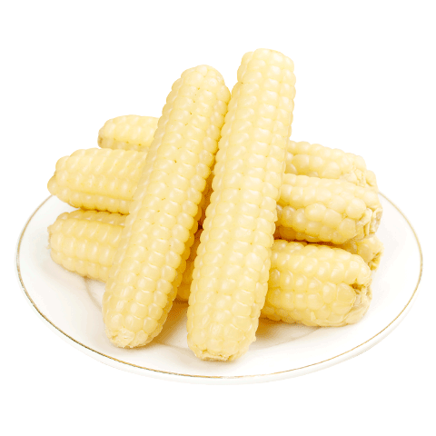 ����̰���ϲ��ء� ĴָС����2�� �����Ӷ�ͯŴ���� Դͷֱ������