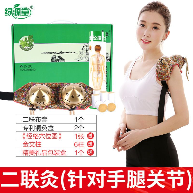 绿源堂铜艾灸盒随身灸家用艾炙包罐家庭式全身艾草条熏蒸养生仪器 二联艾灸盒（送6粒艾柱+穴位图）