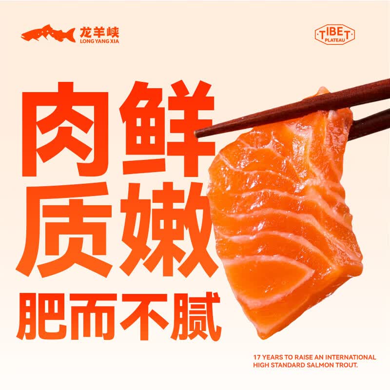 龙羊峡【冰鲜】青海三文鱼中段鱼块刺身400g虹鳟生吃鱼片即食含Ω3生鲜 冰鲜三文鱼块 200g *2盒