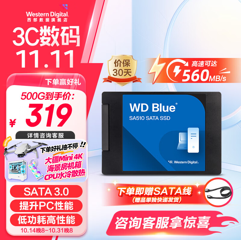 西部数据（WD）笔记本台式机电脑 SSD固态硬盘 SA510 SATA M.2 Blue系列 3D技术 高速读写 WD Blue SATA | 性能款 高容量 1TB