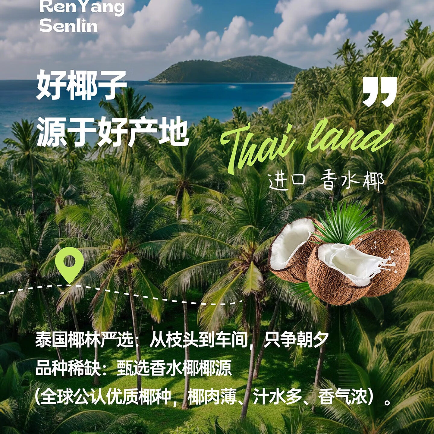 认养森林NFC百分百纯椰子水无添加进口香水椰小袋装天然电解质水 椰子水180ml*5袋*2提(共10袋)