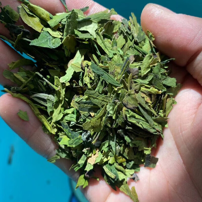 酷發(fā)龍井碎茶2024新茶茶末500g綠茶茶葉沫子高碎茶沫自己喝碎渣末 龍井大碎片一斤(500克)