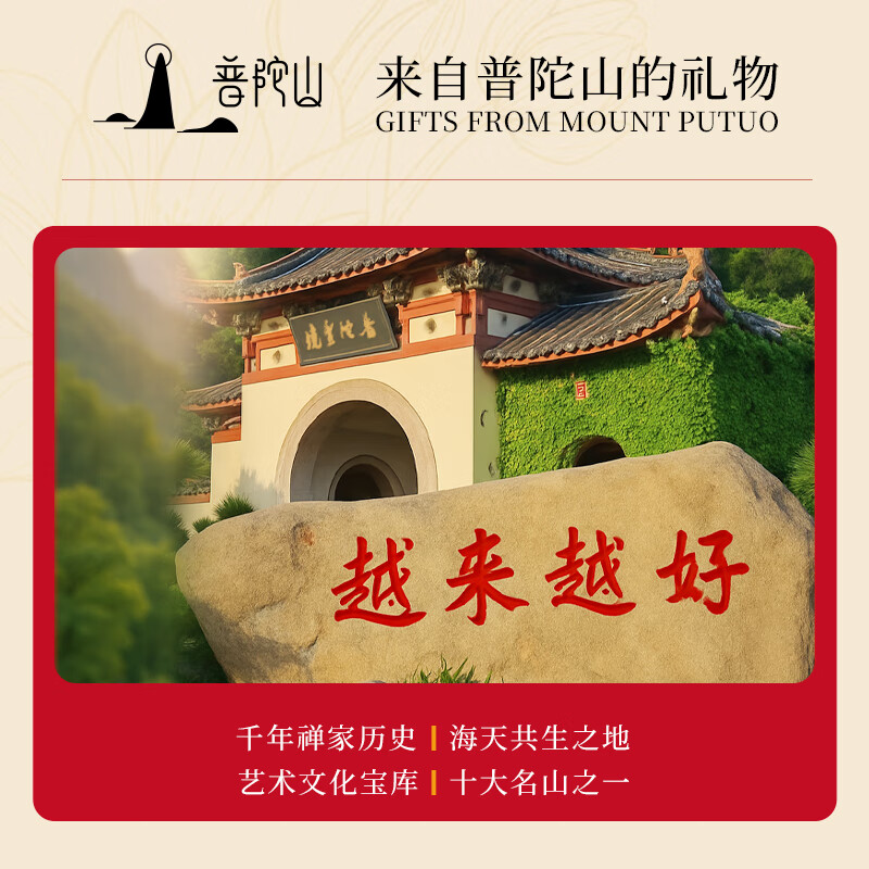 普陀山【正品保真】绿檀手串老檀木串珠手链男士盘玩佛珠女款情侣礼物 【沉水收藏级】绿檀手串-10mm