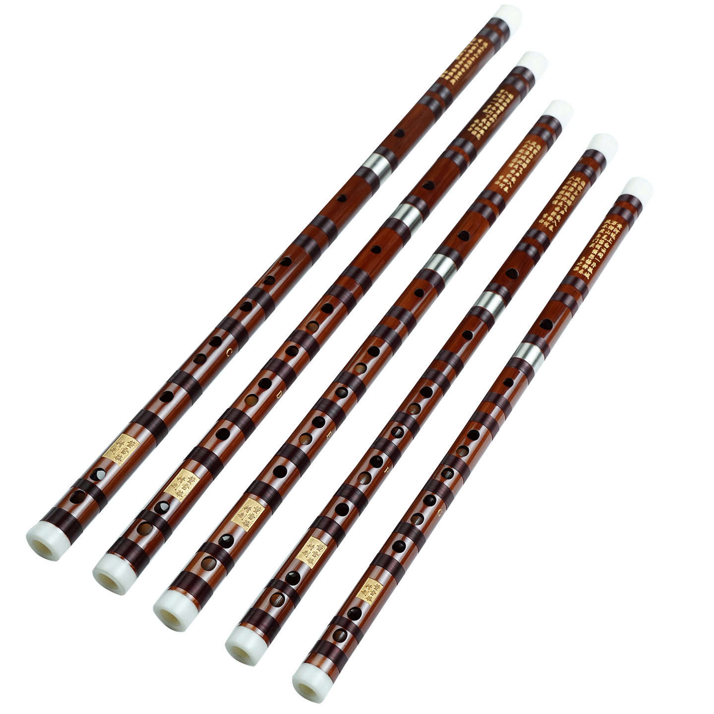 ѩ8883רҵߵƶںCDEG/F508Ԫ