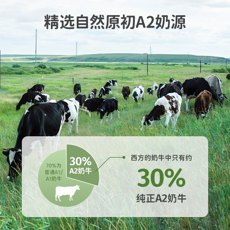 英珞维乳清蛋白粉 儿童分离Epicor接骨木莓乳清铁蛋白a2奶源进口 1g*60条/罐