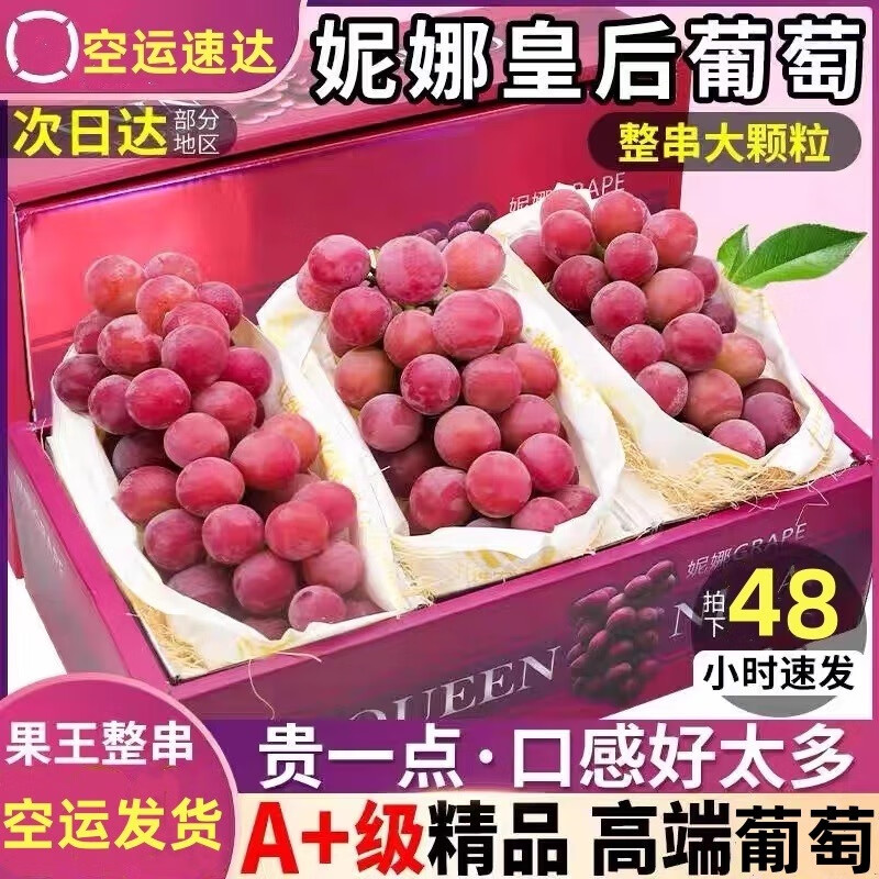 ɽķȻʺѡ˳-شմõˮ 5װީ㡿ͥ 4 9Aްح12-15g+ 348.8Ԫ