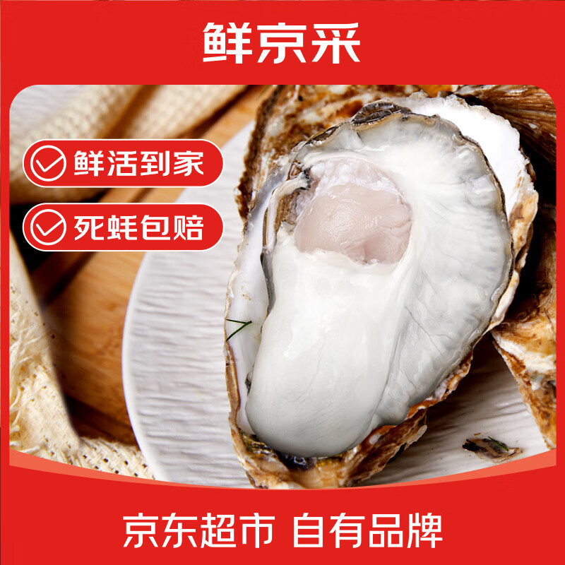 鲜京采 鲜活生蚝5XL 净重5斤 9-12只 鲜活到家 生鲜海鲜 源头直发