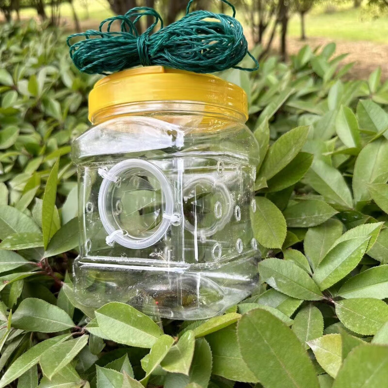 fancychic新款抓小鱼儿童工具抓鱼神器鳑鲏白条麦穗鱼虾虎鱼耐摔倒须