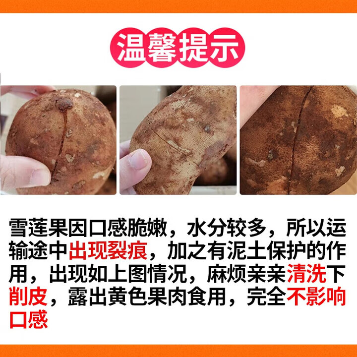 甜果源 云南天山雪莲果  高山红泥沙雪莲果云南特产时令应季新鲜水果 净重5斤【80%人选择】大果 【实惠装】