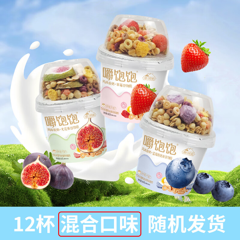 塘日塔格 搅拌酸奶180g*12杯混合装