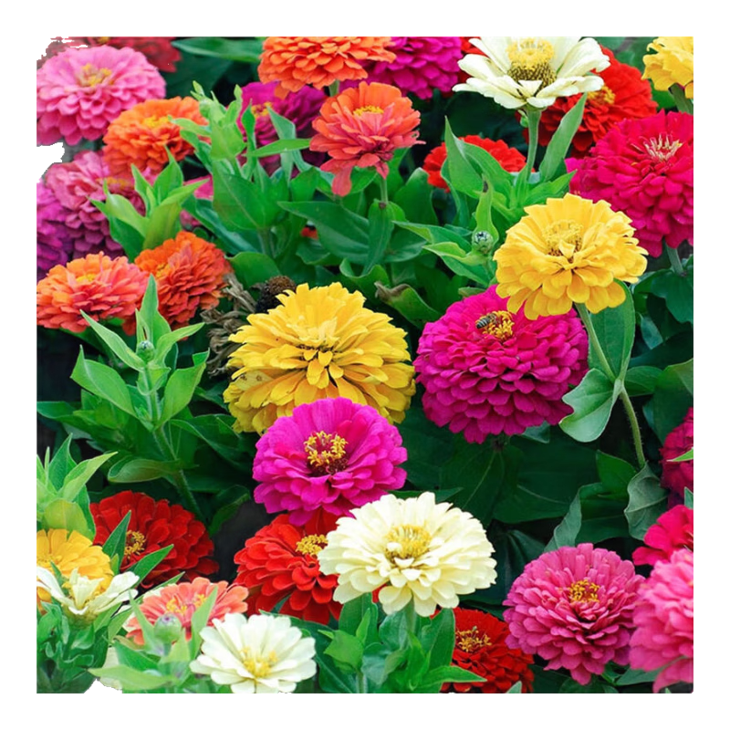 Ұ��������� ��˹��̫���� �������ͺ� 1��Լ800�� 1.01Ԫ