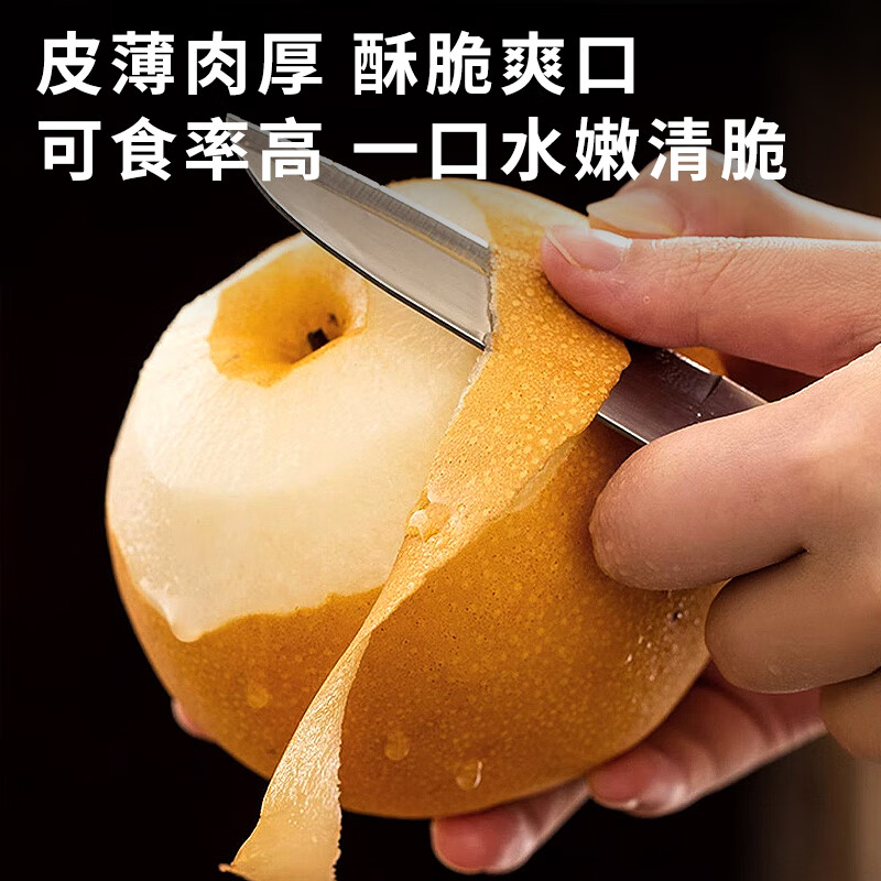 京丰味梨子 正宗山东秋月梨脆甜 当季整箱新鲜水果 中秋送礼推荐 优选果单果5-6两净重4.5-5斤