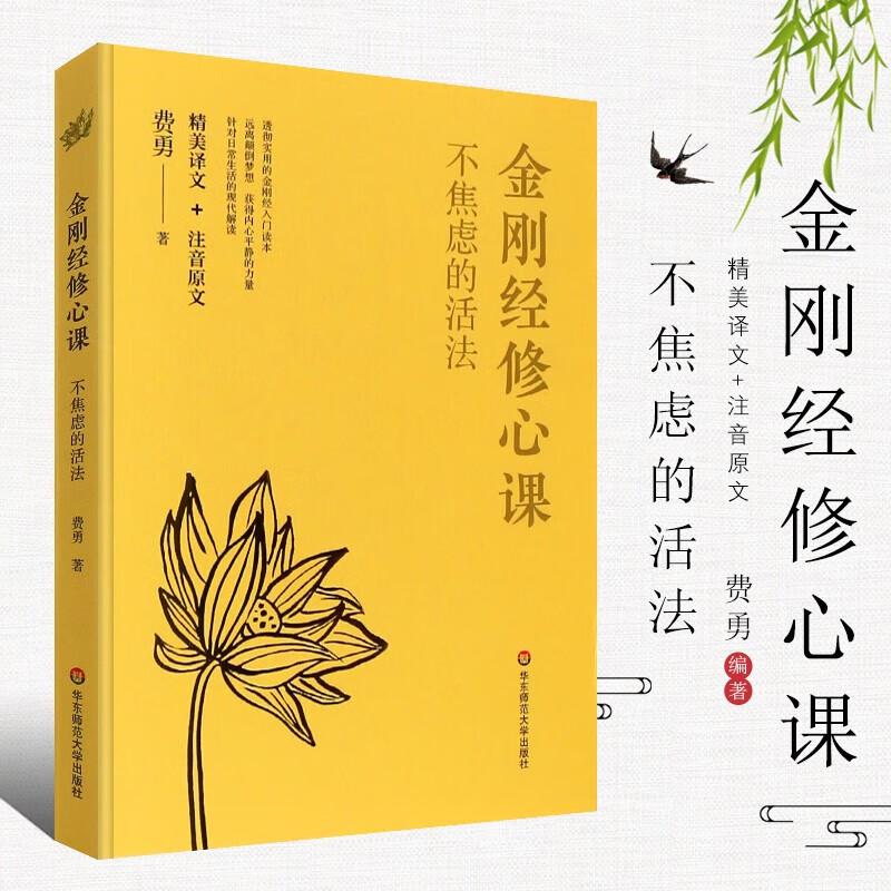 陈坤力荐 心灵疗愈励志经典书 华东师范大学 费勇作品 金刚经入门读物