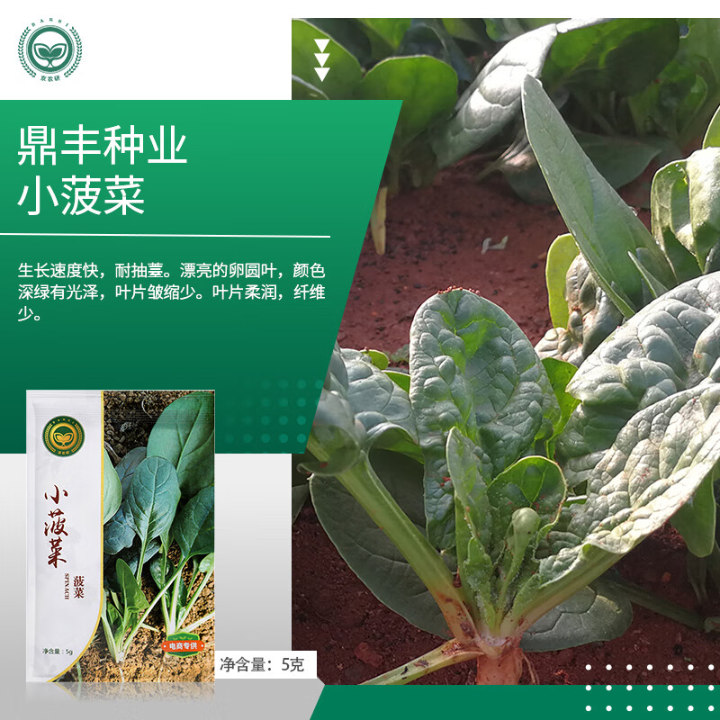 ��ũ�в������Ӵ�ҶԲҶ����ſ�ز����·��Ӵ���Խ��Խ��ũ��Ժ�߲����� ����ɳ��С����5�� ���ﲥ��Խ��