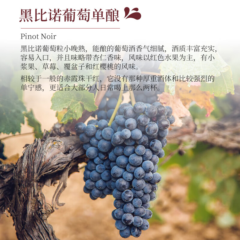 帝月葡萄酒13度沁香宁夏贺兰山黑比诺干红甜葡萄热红酒微醺圣诞礼物 沁香 750ml*1瓶【赠开瓶器】