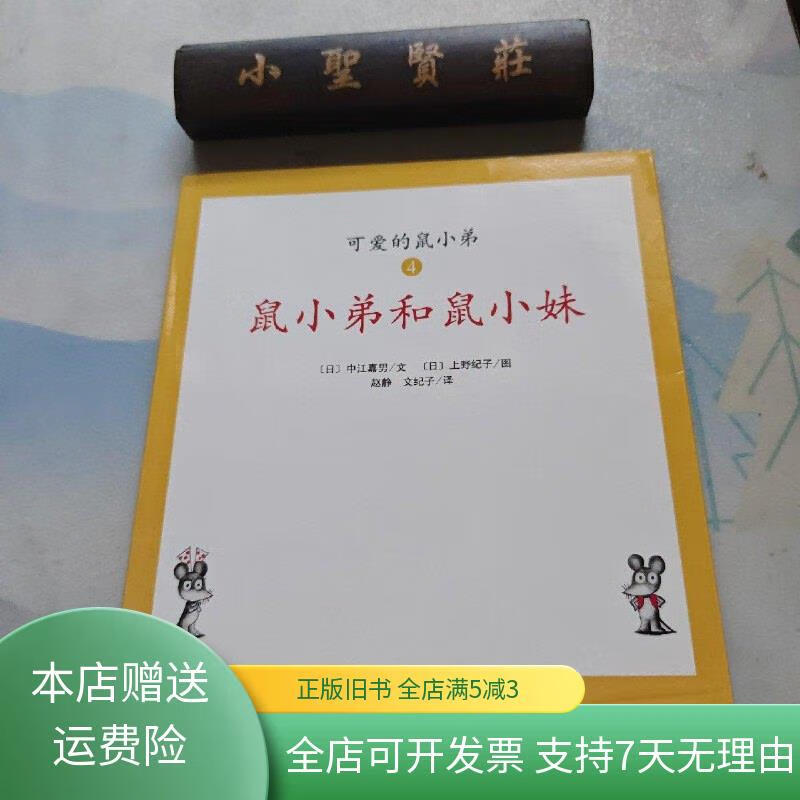 可爱的鼠小弟4:鼠小弟和鼠小妹 南海出版公司