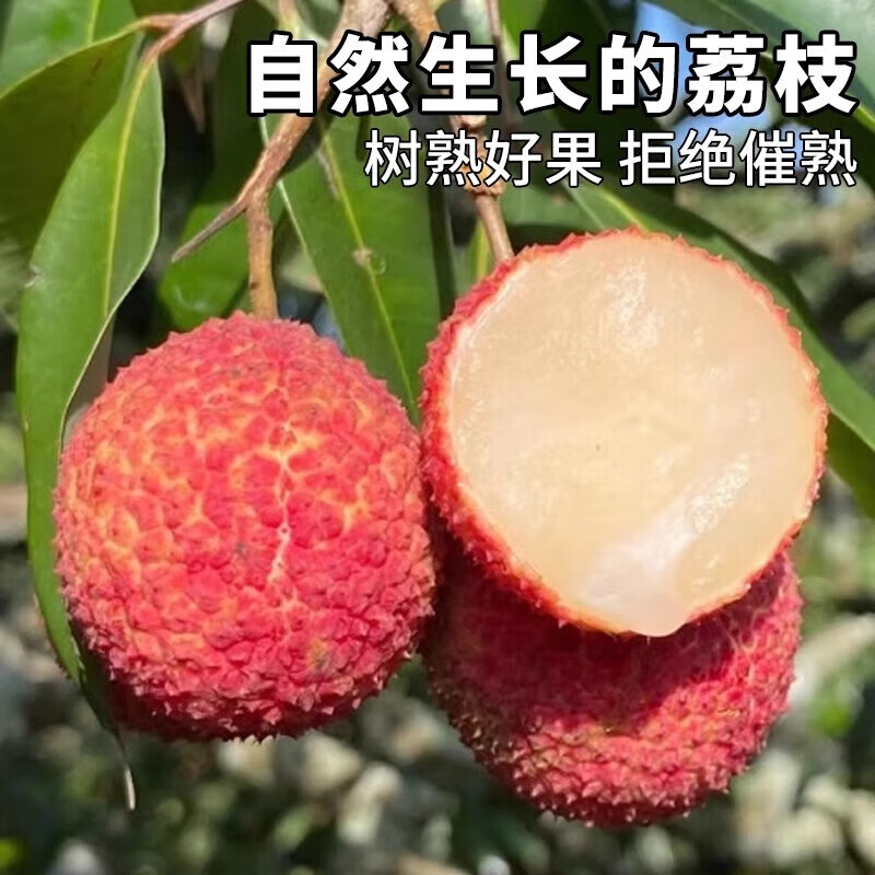 三萌果蔬海南无核荔枝【JD顺丰空运-闪送】新鲜荔枝水果礼盒端午节送礼 7A级精品果丨1斤约20-24个 5斤装【80%的人选-超划算】净4斤