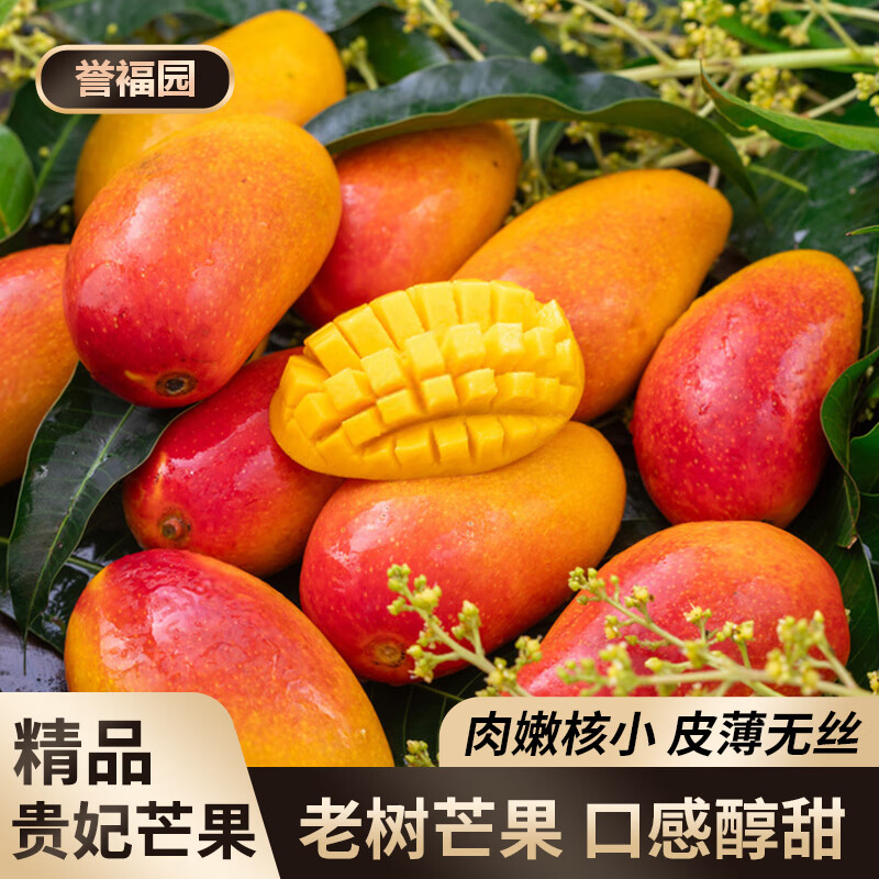 誉福园贵妃芒海南贵妃芒果新鲜水果10斤当季整箱树采红玉青煌大台辣椒芒 净重4.5斤装 中果丨单果100g+-150g鲜甜多汁