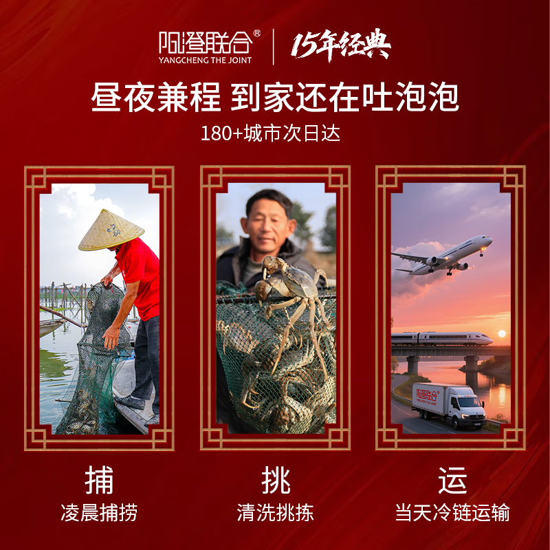【礼券】阳澄联合大闸蟹礼券螃蟹券蟹卡礼盒礼品卡海鲜水产 1288型公3.0两 母2.0两 3对