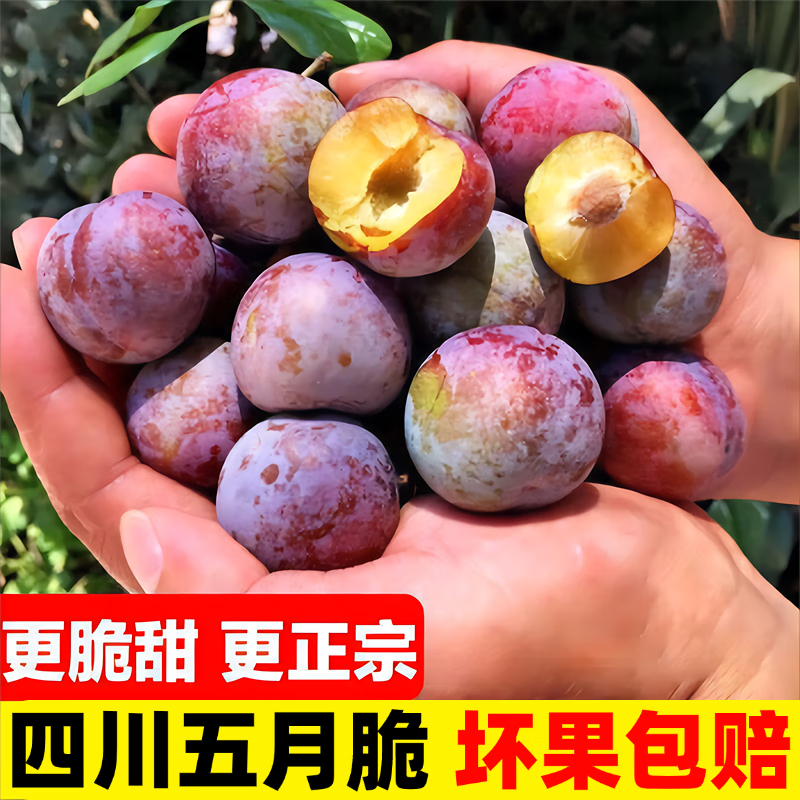 ��ʯ�Ĵ����´����������ʲ�ժ��ߺ�����ѹ����� ��ѡ���´� 5��װ����4.7��+ ���� 25g+