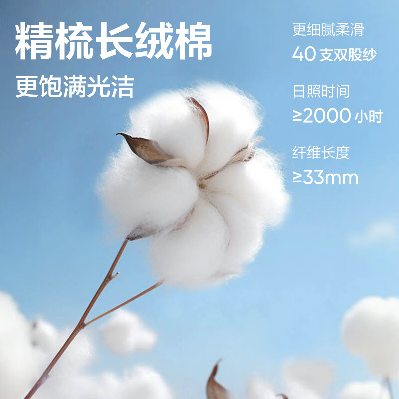 网易严选 200g重磅棉7A抑菌基础长袖T恤纯棉内搭外穿打底衫 A款10A抑菌升级-豚草绿 L