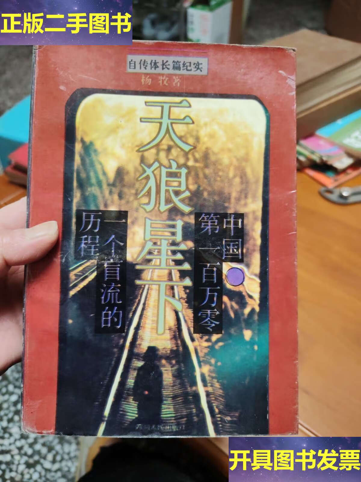 天狼星下:中国百万零一个盲流的历程 /杨牧 四川人民