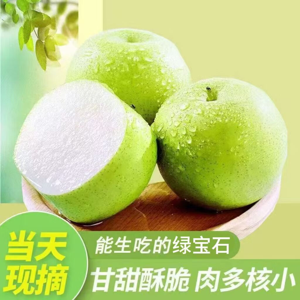 千园九味山东绿宝石梨时令水果新鲜青皮梨子脆甜多汁酥脆少渣皇冠翠蜜 优选净重4.5斤大果