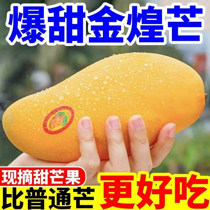 ���ڲ�������ӭ���ââ�����յ�����졿��������֭���Ĺ�����â�����䷢�� 5�ﾫѡ��������250g+����4.5�� 20.79Ԫ