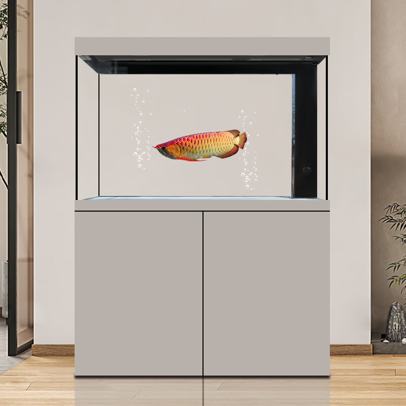 ds迪顺新款水族成品鱼缸客厅大型底滤超白免换水水族箱落地家用 浅灰色 80*36*146cm 靠墙款