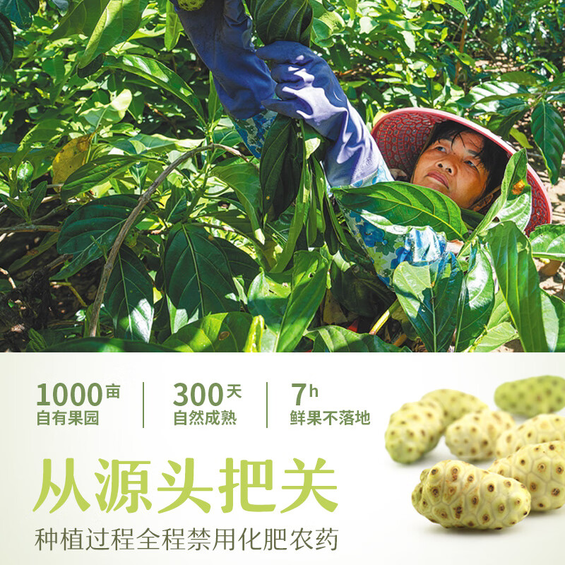 彩教诺丽果酵素原液 助眠排宿便便秘排毒原浆复合饮料益生菌礼盒装 一盒2瓶