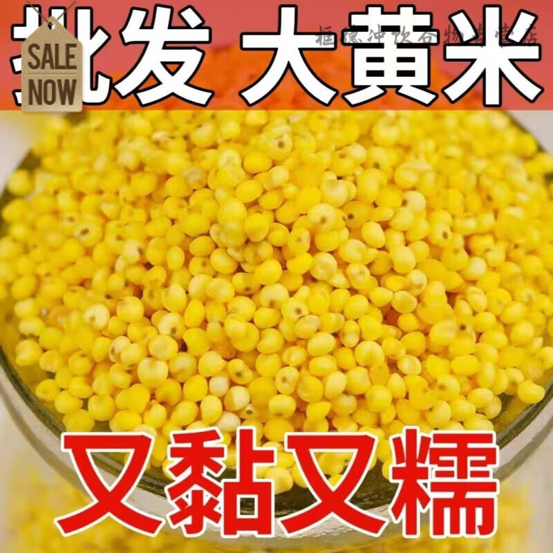 風(fēng)鮮倉【顆粒飽滿】正宗東北大黃米批發(fā)新鮮粘米黍子農(nóng)家黏黃米粘大黃米 東北大黃米【30斤】 廠家直銷