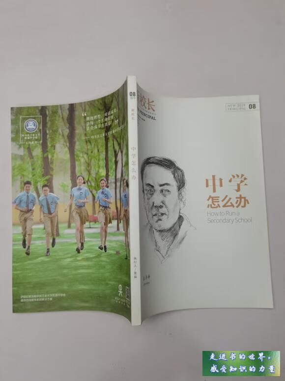 二手书九新 新校长 2019.08 中学怎么办 张磊 蒲公英教育智库 标准