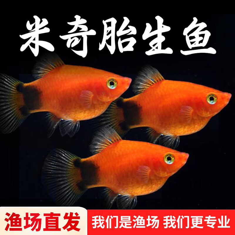̥ȴ 1.5-2cm30.9Ԫ10-10ȯ0.9
