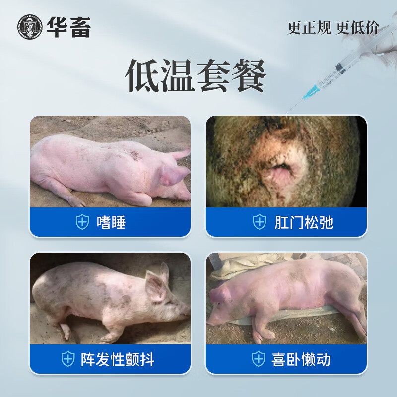 华畜 兽药兽用黄芪多糖注射液 猪药牛羊鸭鹅鸡药禽用抗病毒 【低温