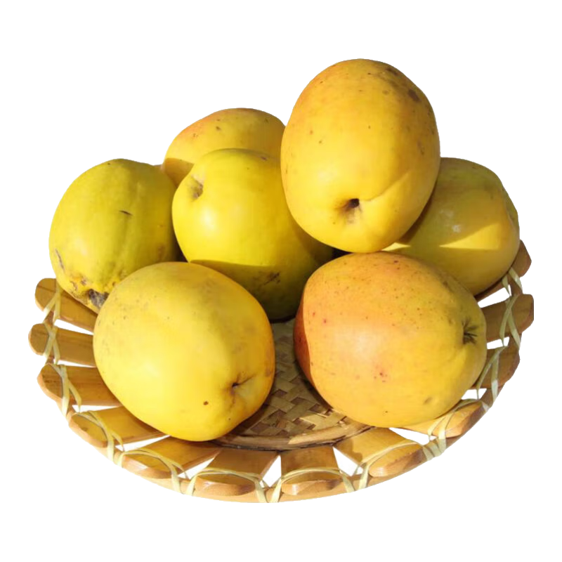 ɽ���� ����������ľ����ľ���ز�ˮ��������ժ�ַ��ݾ�ľ���������� ������ľ��  ��ѡ3��װ 20.9Ԫ