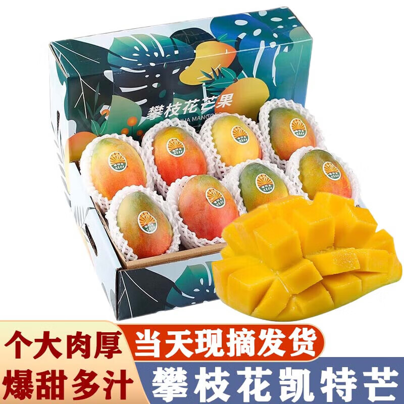 京蚨鲜四川攀枝花凯特芒果 新鲜水果特大芒果礼盒中秋送礼 5斤特大果【500克+】净重4.5斤